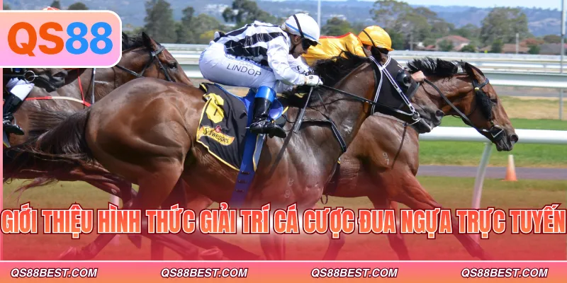 Giới thiệu hình thức giải trí cá cược đua ngựa trực tuyến